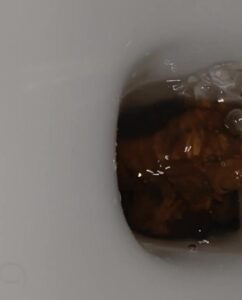 Free Scat Porn