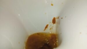 Free Scat Porn