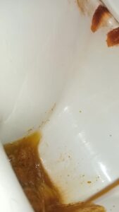 Free Scat Porn