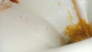Free Scat Porn