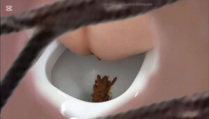 Free Scat Porn