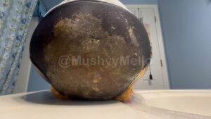 Free Scat Porn