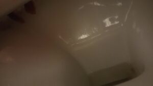 Free Scat Porn