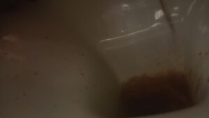 Free Scat Porn