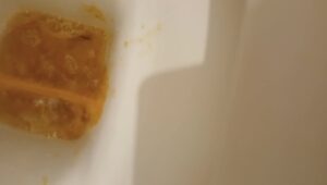 Free Scat Porn