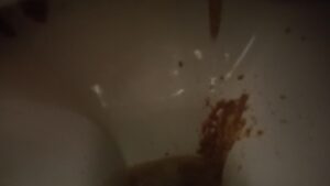 Free Scat Porn