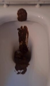 Free Scat Porn