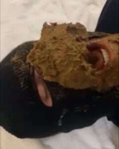 Free Scat Porn