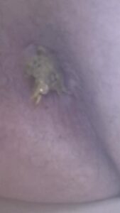 Free Scat Porn