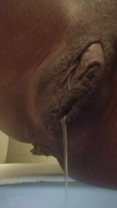 Free Scat Porn