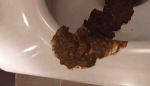Free Scat Porn