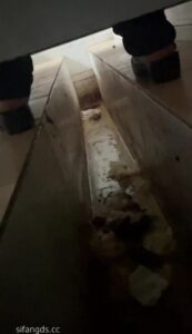 Free Scat Porn