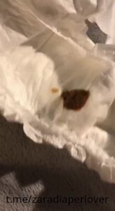 Free Scat Porn