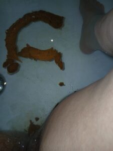 Free Scat Porn