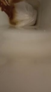 Free Scat Porn