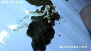 Free Scat Porn