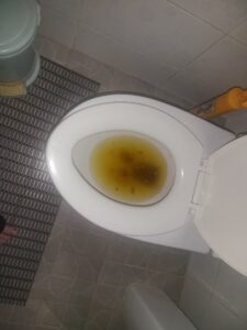Free Scat Porn