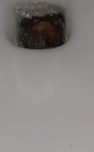 Free Scat Porn