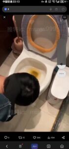 Free Scat Porn