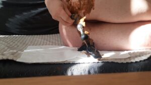 Free Scat Porn