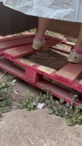 Free Scat Porn