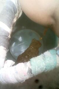 Free Scat Porn