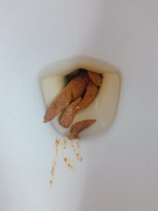 Free Scat Porn