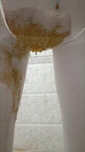 Free Scat Porn