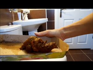 Free Scat Porn