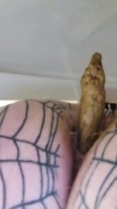Free Scat Porn