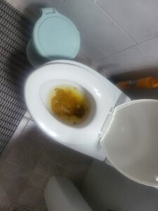 Free Scat Porn