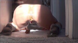 Free Scat Porn
