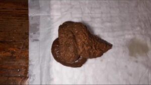Free Scat Porn