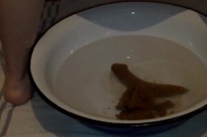 Free Scat Porn