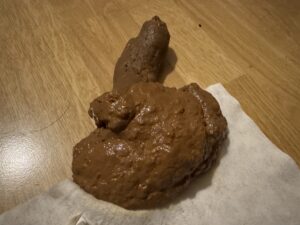 Free Scat Porn