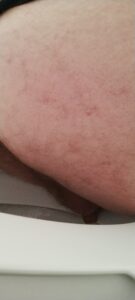 Free Scat Porn
