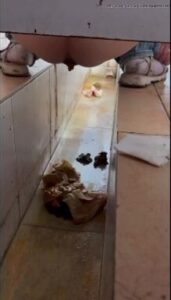 Free Scat Porn
