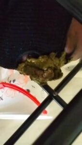 Free Scat Porn