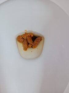 Free Scat Porn