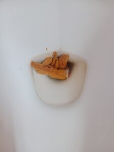 Free Scat Porn