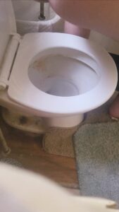 Free Scat Porn