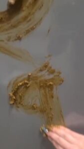 Free Scat Porn