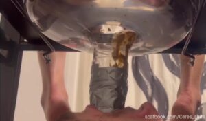 Free Scat Porn