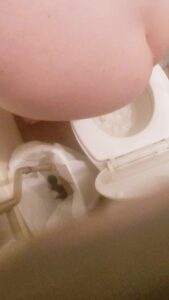 Free Scat Porn