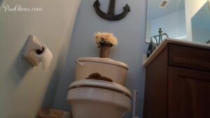 Free Scat Porn