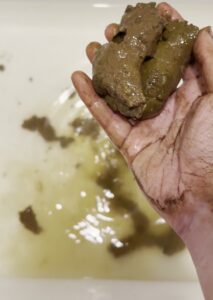 Free Scat Porn