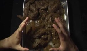 Free Scat Porn