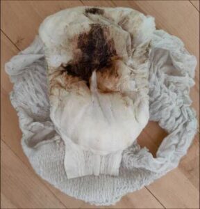 Free Scat Porn