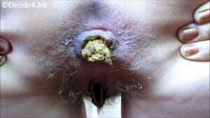 Free Scat Porn