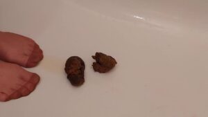 Free Scat Porn